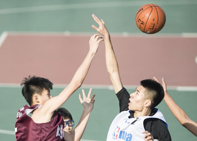 成人动漫下载