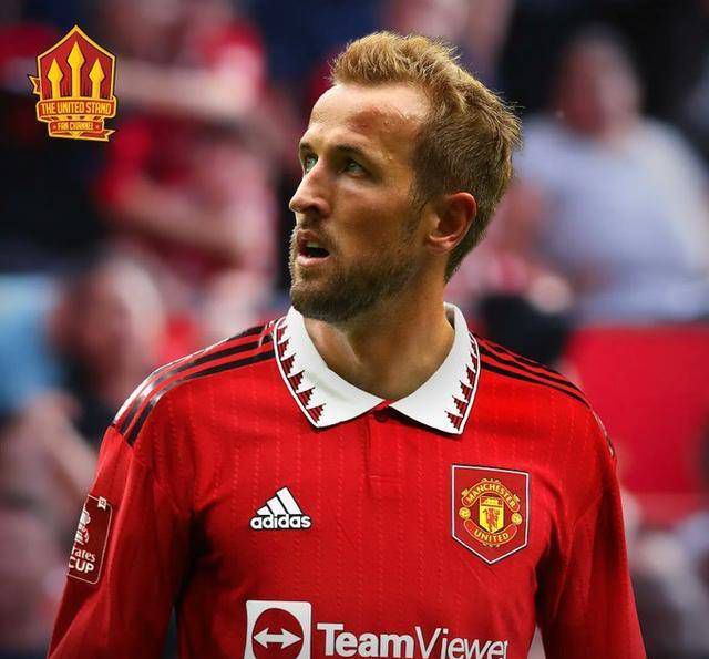 99久久精品免费看国产免费软件