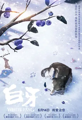 美女一区视频